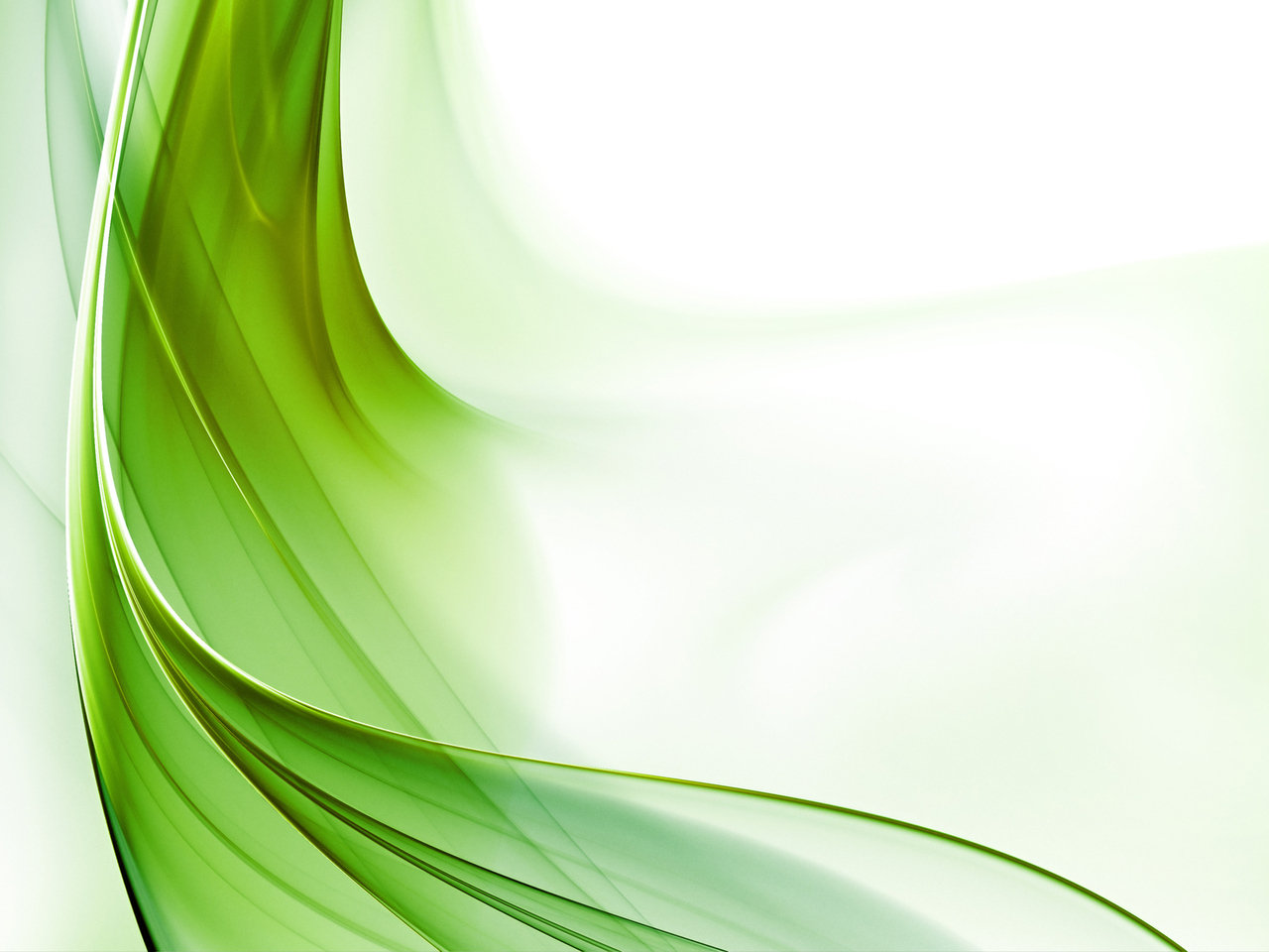 light abstract wallpaper,green,leaf,line,grass,plant