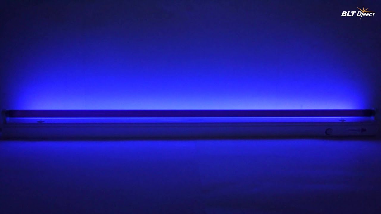 black light wallpaper,blue,cobalt blue,violet,purple,electric blue