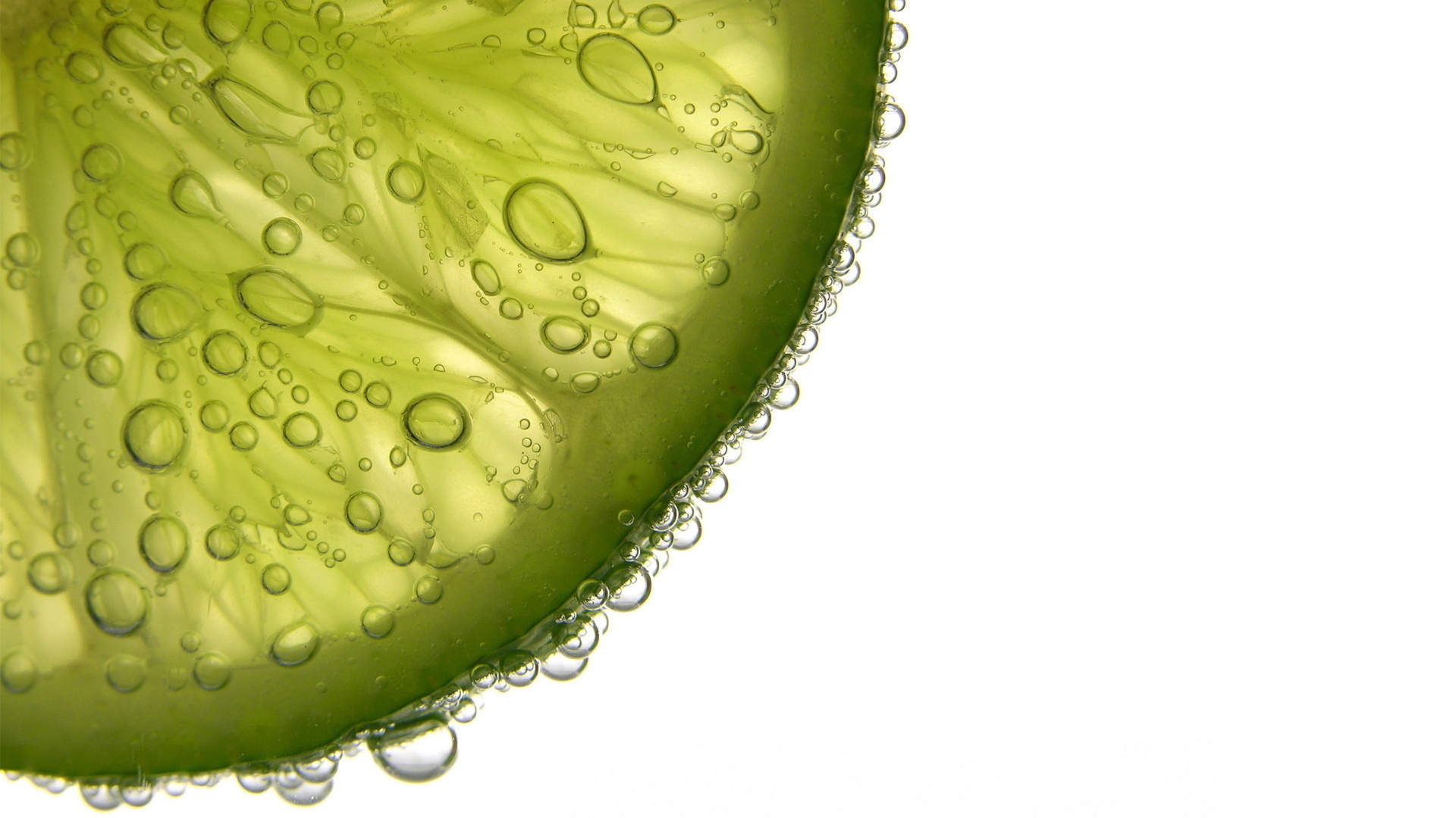 lime wallpaper,green,water,leaf,dew,macro photography