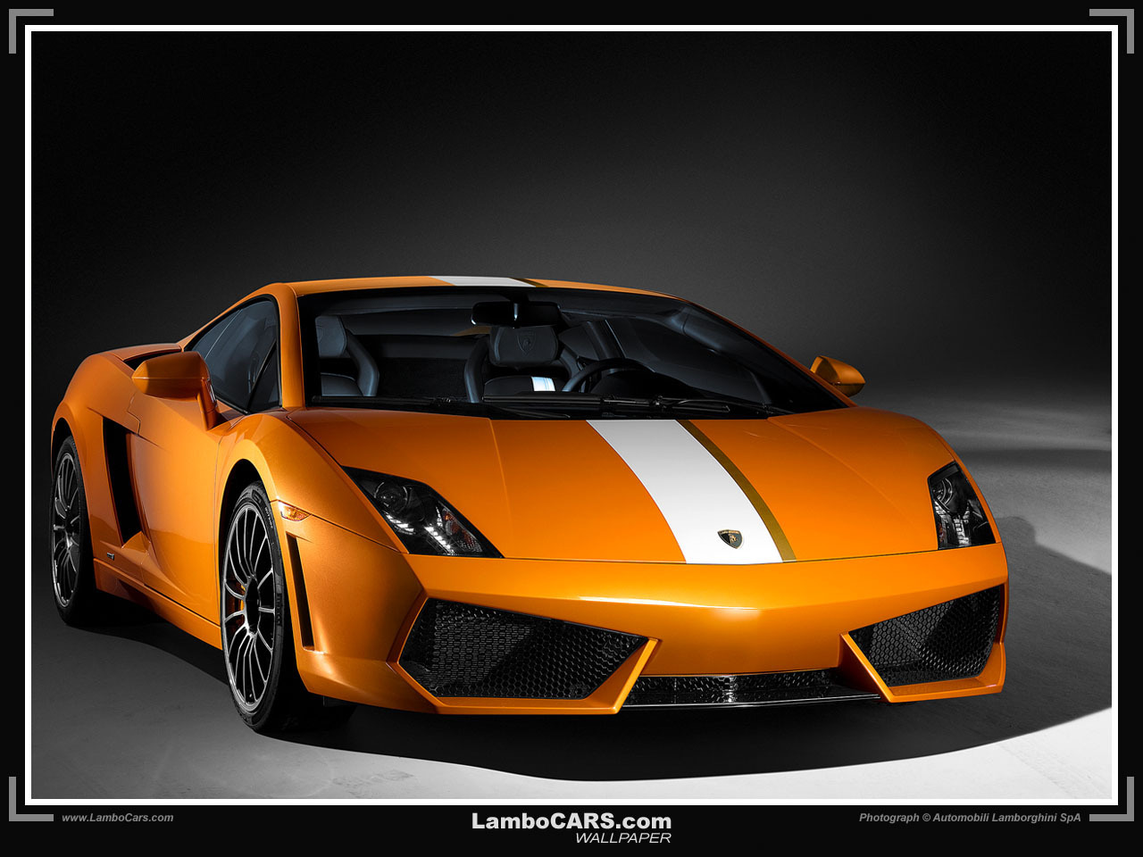 cool lamborghini wallpaper,land vehicle,vehicle,car,supercar,sports car