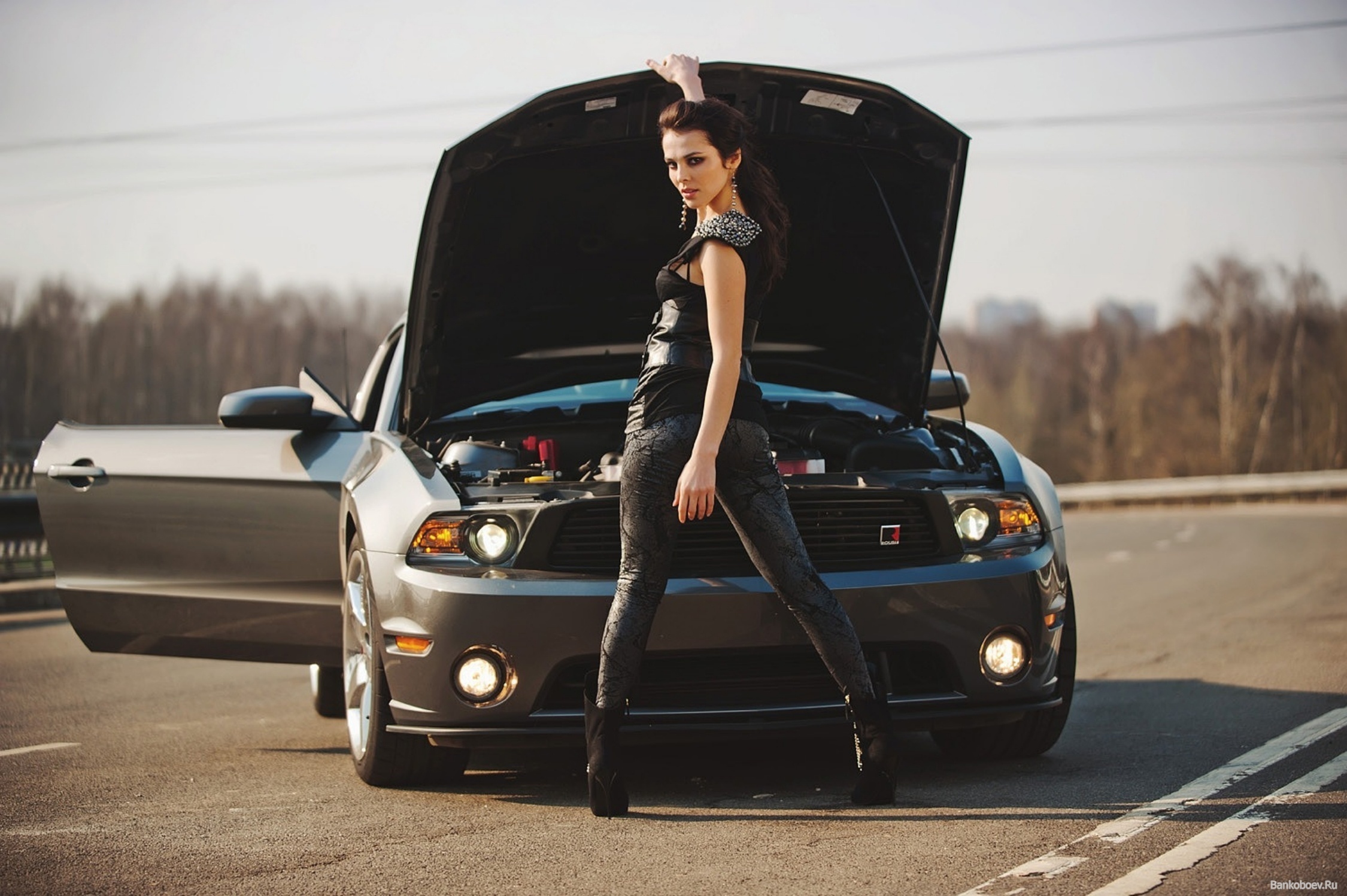 car girl wallpaper,land vehicle,vehicle,car,automotive design,shelby mustang