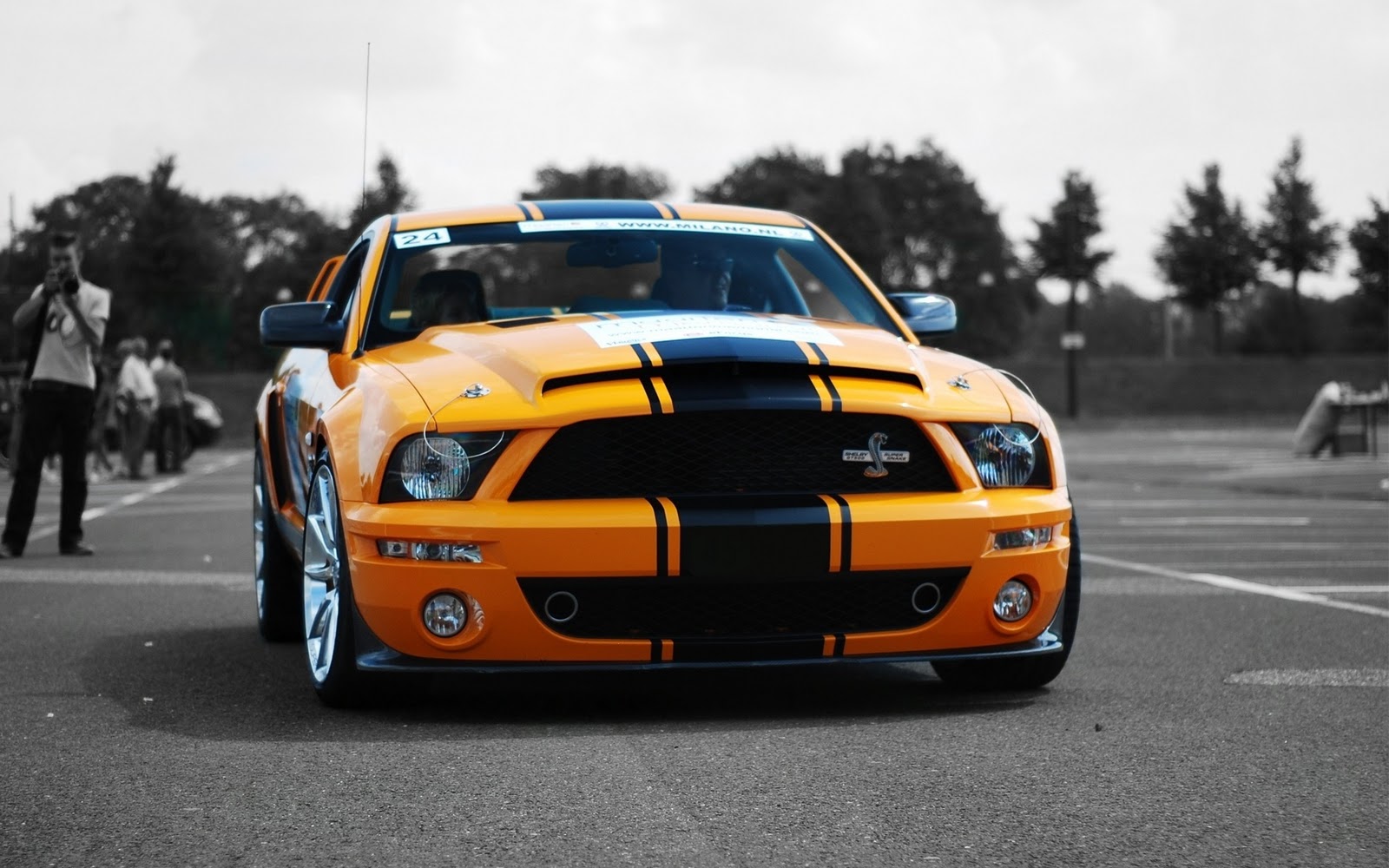 epic car wallpapers,land vehicle,vehicle,car,shelby mustang,yellow