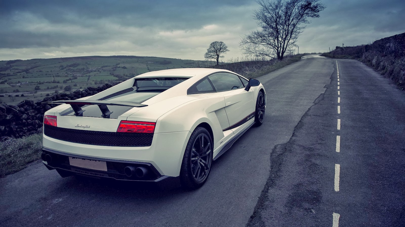 fond d'écran de voiture complète,véhicule terrestre,véhicule,voiture,blanc,supercar