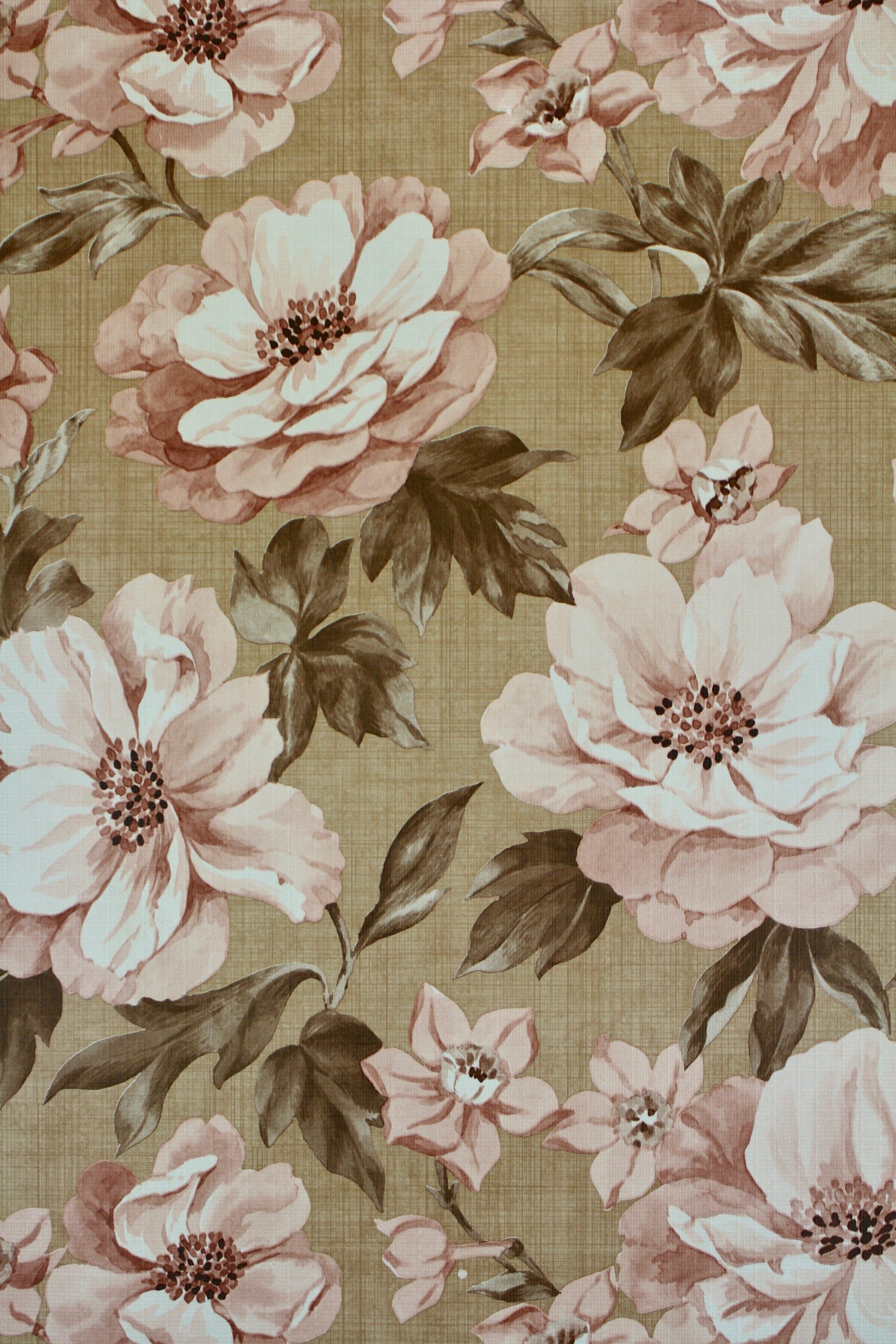 茶色の花の壁紙 花 ピンク パターン 花弁 花柄 Wallpaperuse