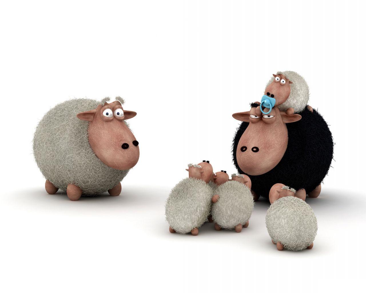 fondo de pantalla divertido,oveja,oveja,ganado,roedor,figura animal