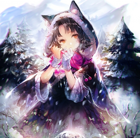 anime winter tapete,cg kunstwerk,anime,erfundener charakter,illustration,schwarzes haar