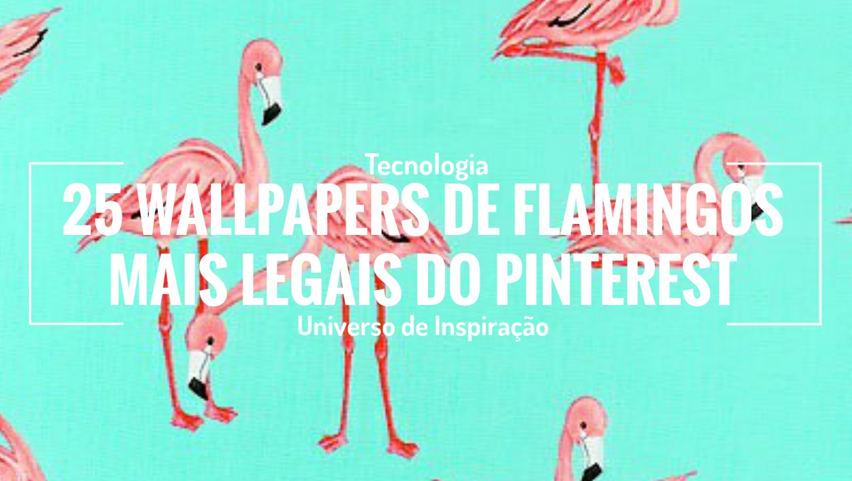 papier peint divertido,flamant,flamant rose,oiseau,rose,oiseau d'eau