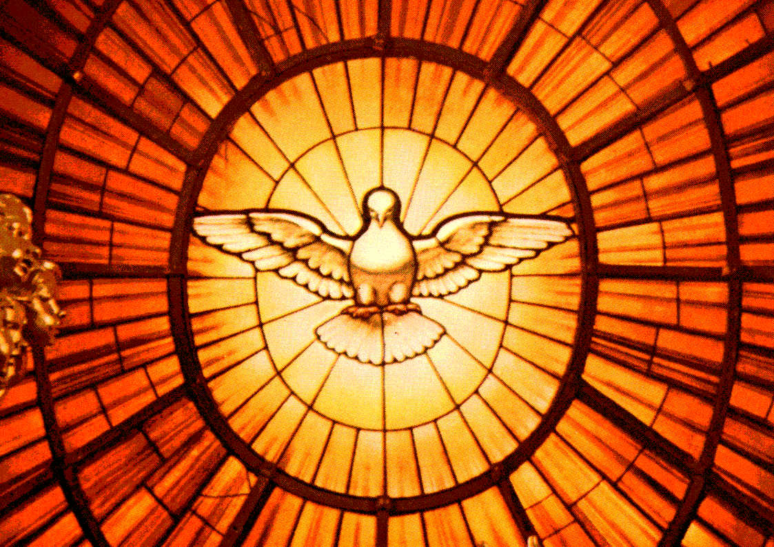 wallpaper catolico,orange,symmetry,dome,ceiling,daylighting