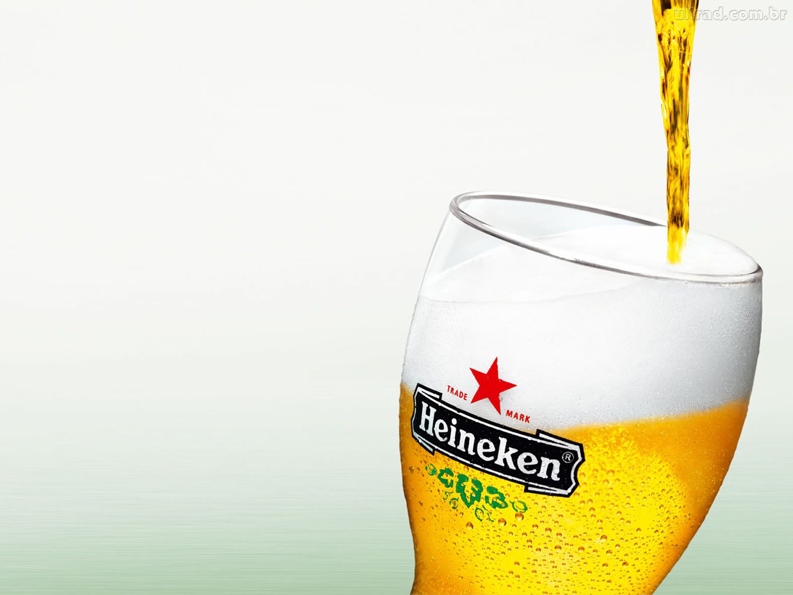fond d'écran cerveja,verre de bière,boisson,verre pinte,bière,boisson à l'orange