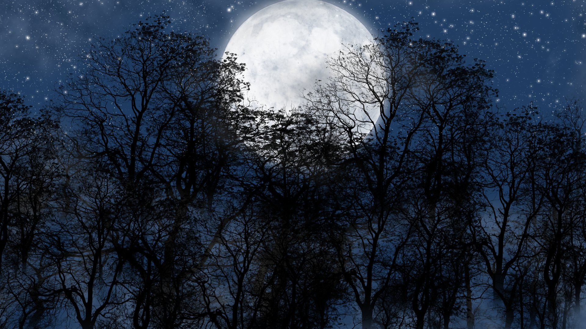 壁紙ルア,空,月,月光,自然,木