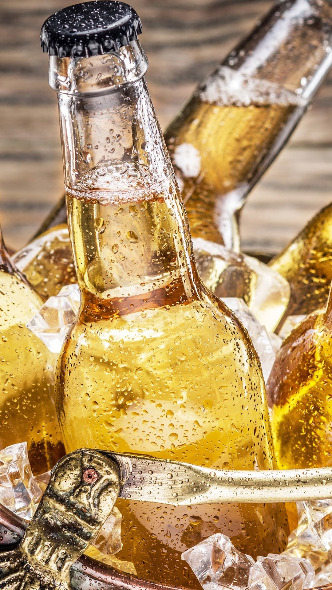 Wallpaper Cerveja Drink Bottle Alcohol Glass Bottle Champagne Wallpaperuse