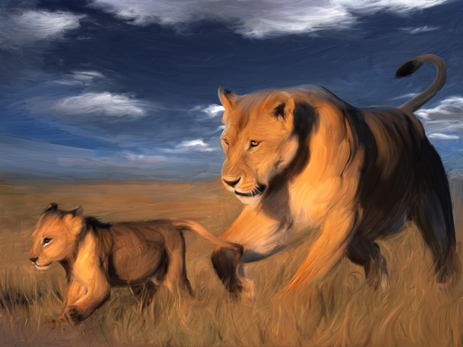 hermosos fondos de pantalla de animales,fauna silvestre,león,felidae,masai lion,grandes felinos