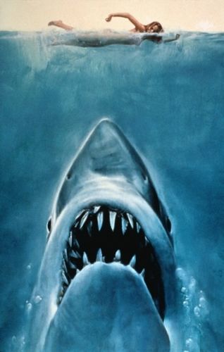 filmes de papier peint,grand requin blanc,requin tigre de sable,requin,poisson,requin tigre