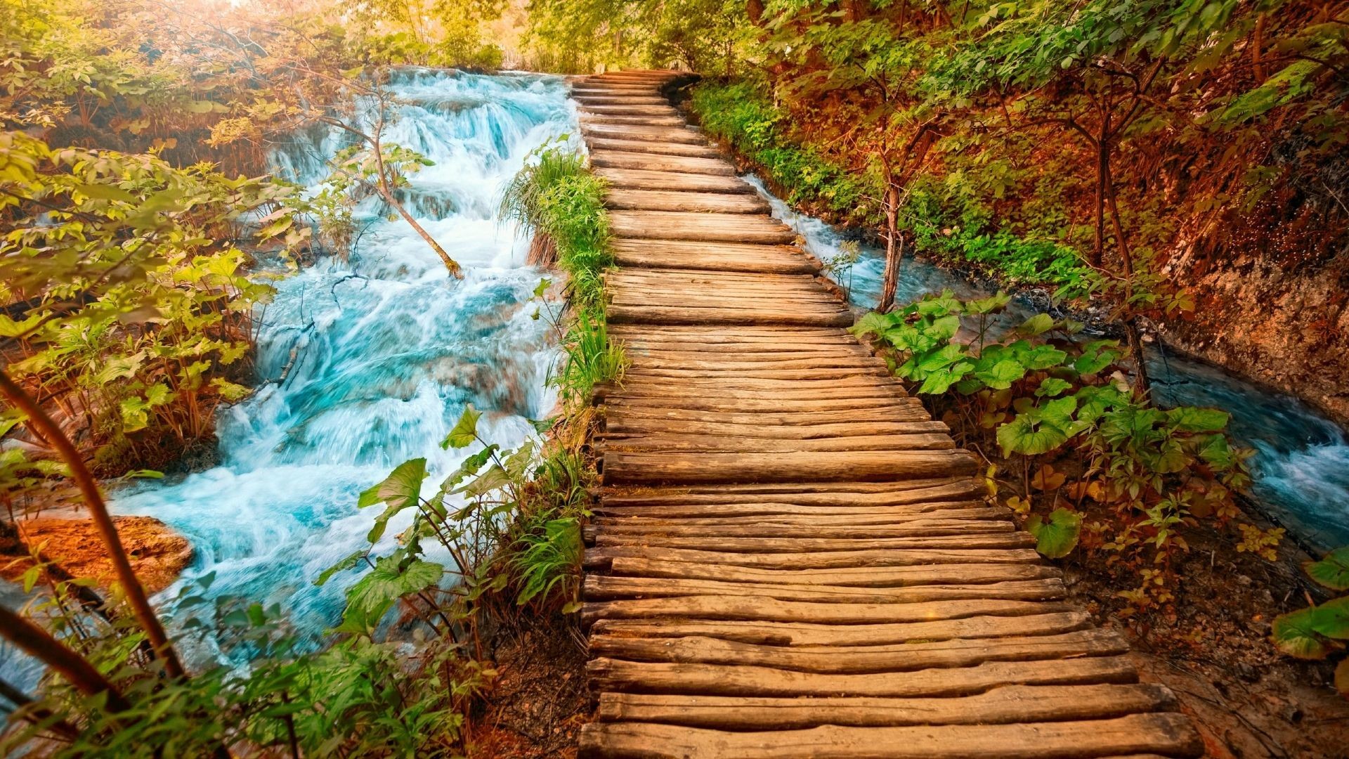 hintergrundbild für pc vollbild,natürliche landschaft,natur,gehweg,treppe,baum