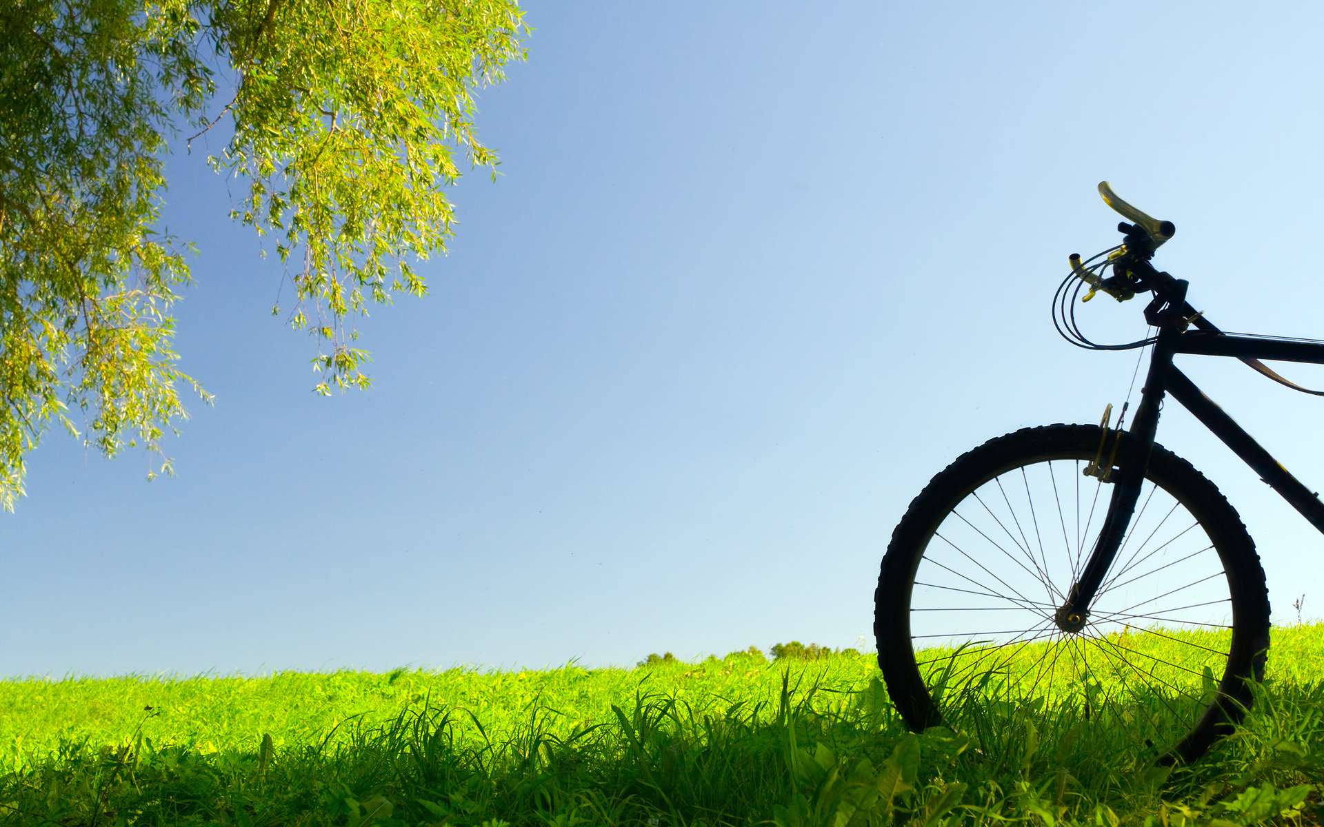 bicycle wallpaper hd,bicycle,nature,bicycle wheel,bicycle tire,mountain bike