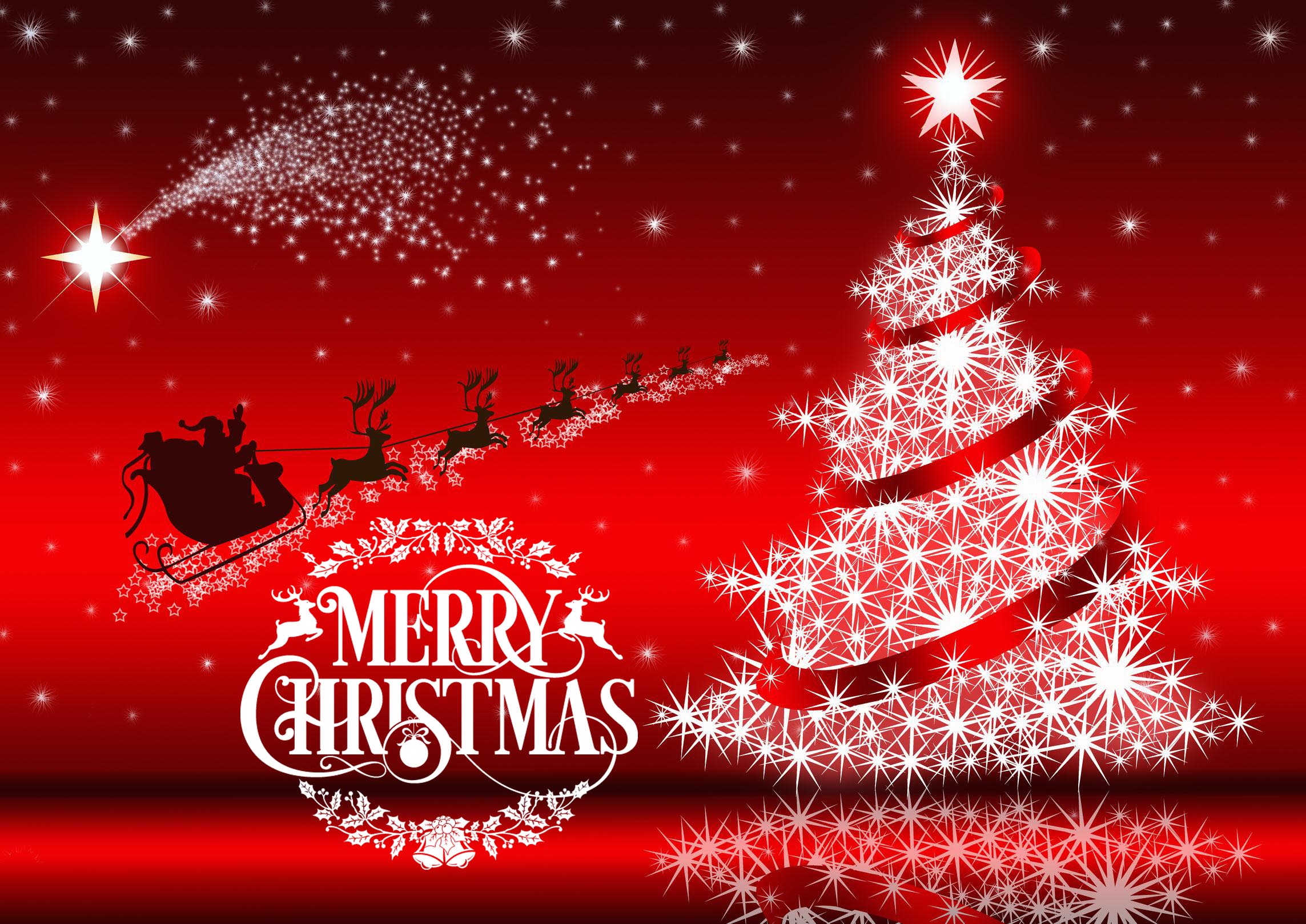 deseos de navidad fondos de pantalla,decoración navideña,texto,árbol de navidad,nochebuena,f te
