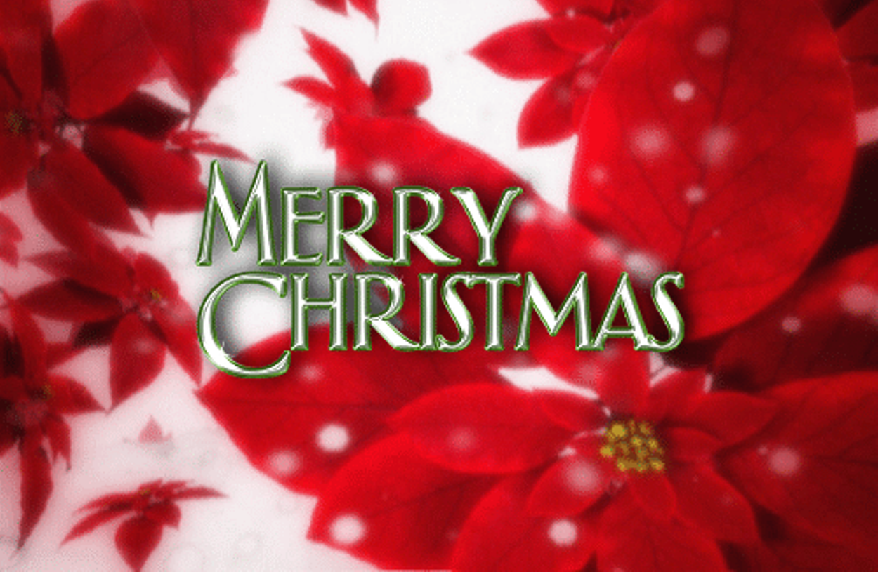 christmas wishes wallpapers,red,text,petal,font,flower