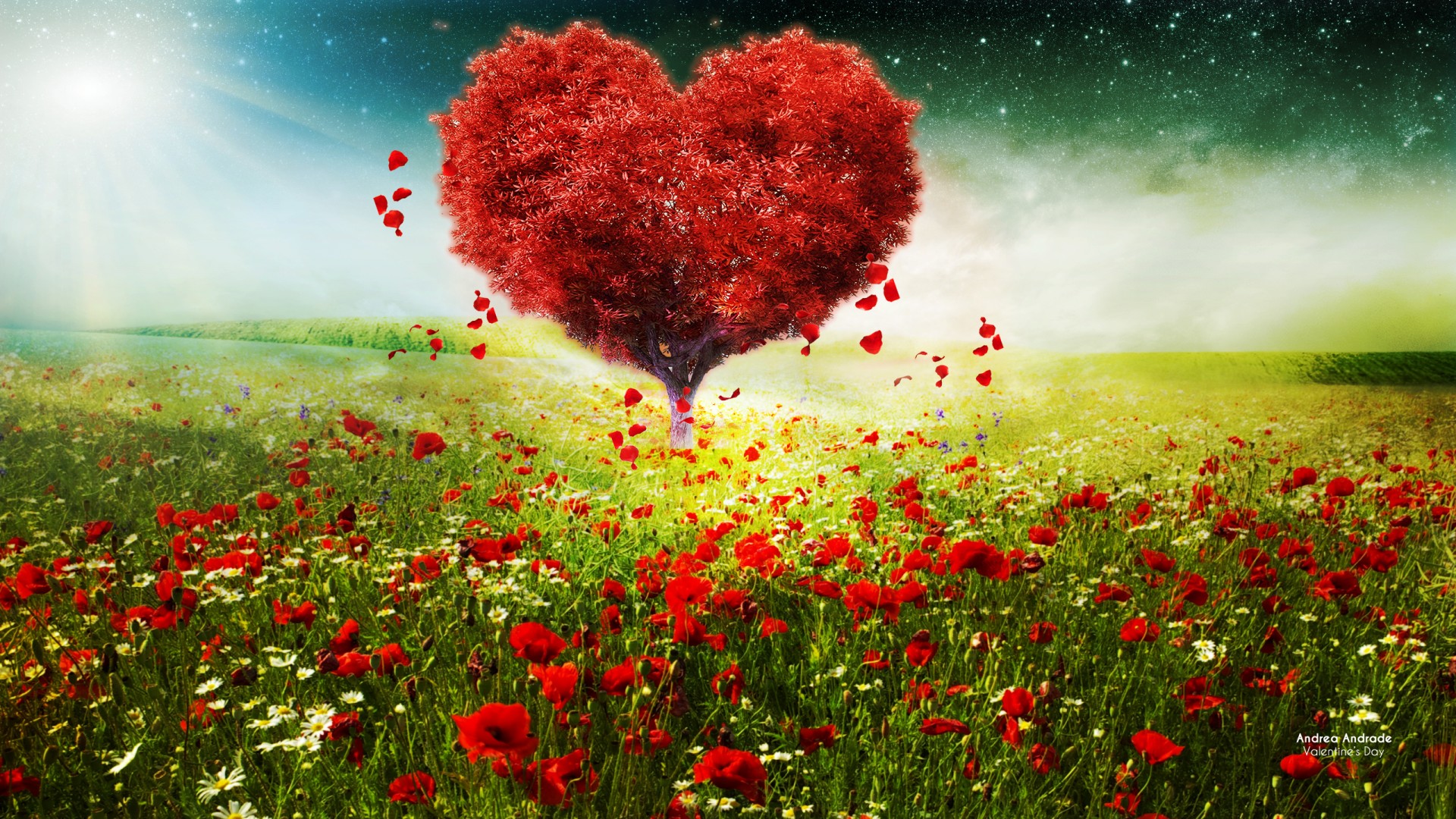 사랑의 행복한 월페이퍼,빨간,자연 경관,목초지,꽃,식물