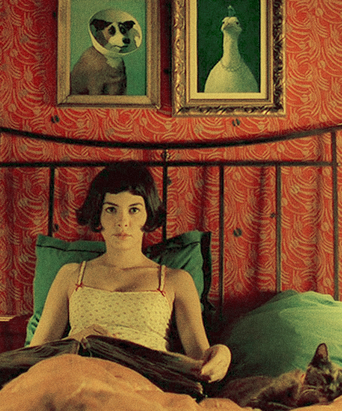 amelie poulain wallpaper,art,portrait,painting,canidae,furniture