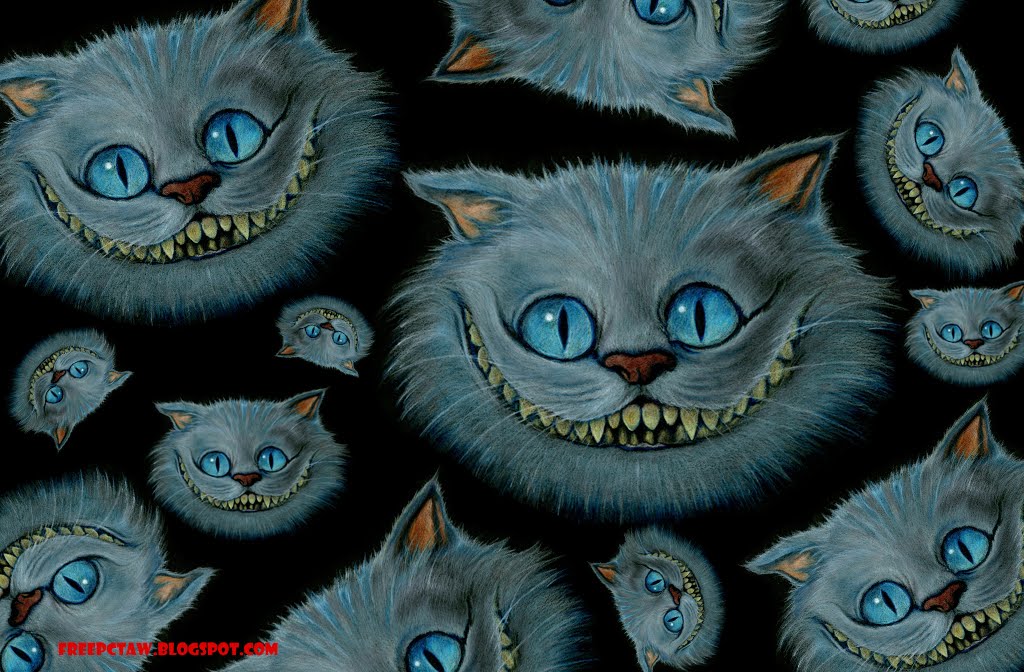 ティム壁紙,ネコ,中型から中型の猫,ネコ科,ひげ,眼