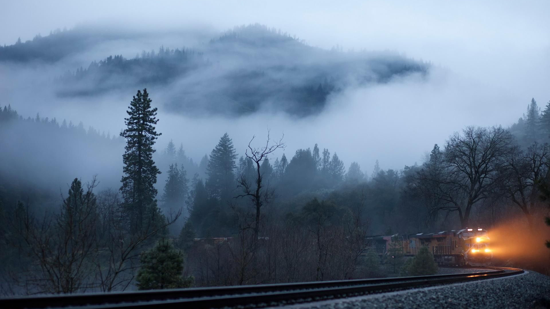 foggy forest wallpaper,sky,nature,atmospheric phenomenon,transport,mist