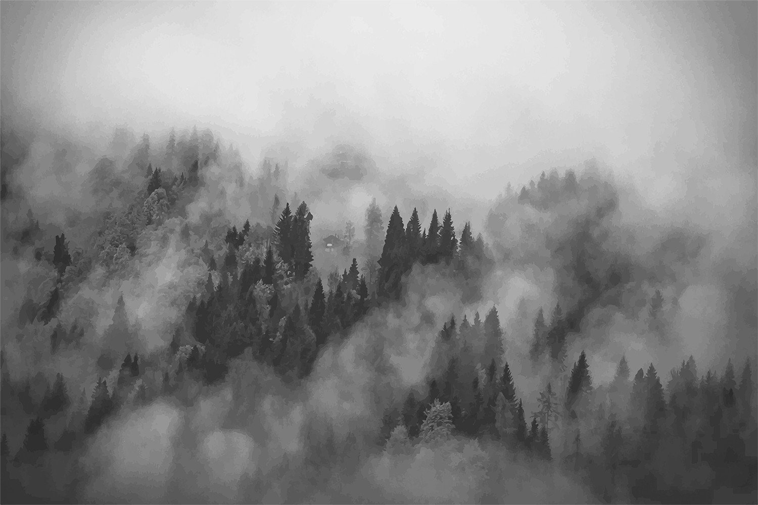 papier peint forêt brumeuse,brouillard,ciel,la nature,brouillard,nuage