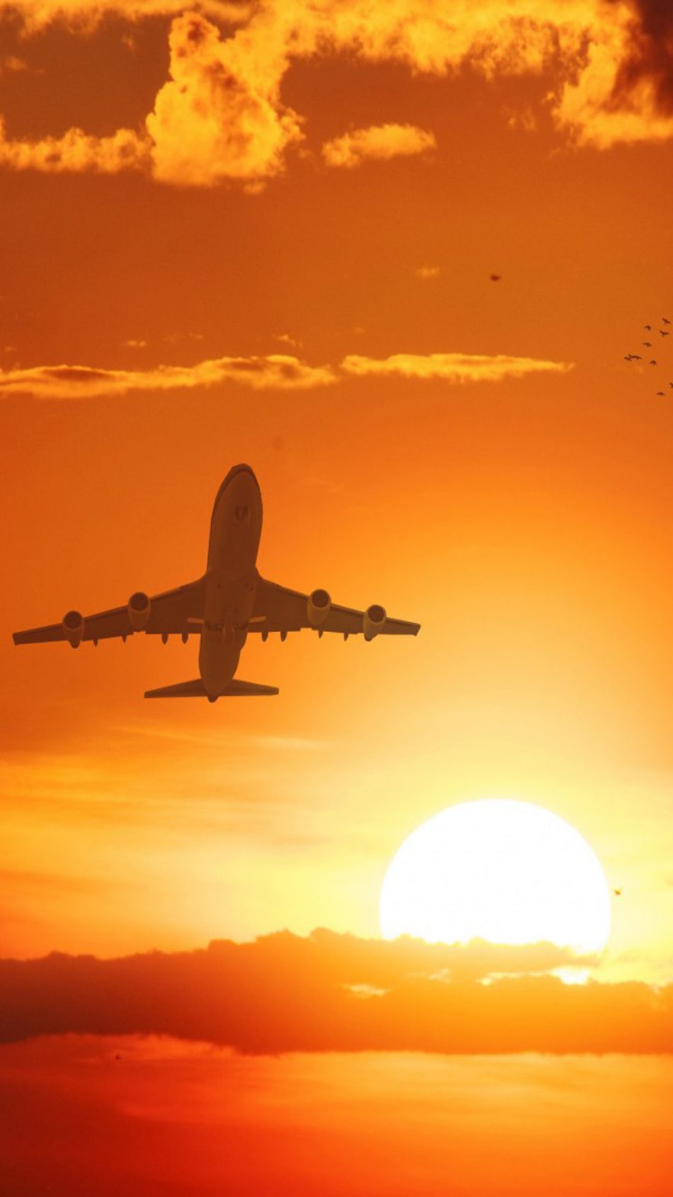 fondo de pantalla de vuelo,cielo,avión,aerolínea,aeronave,aviación