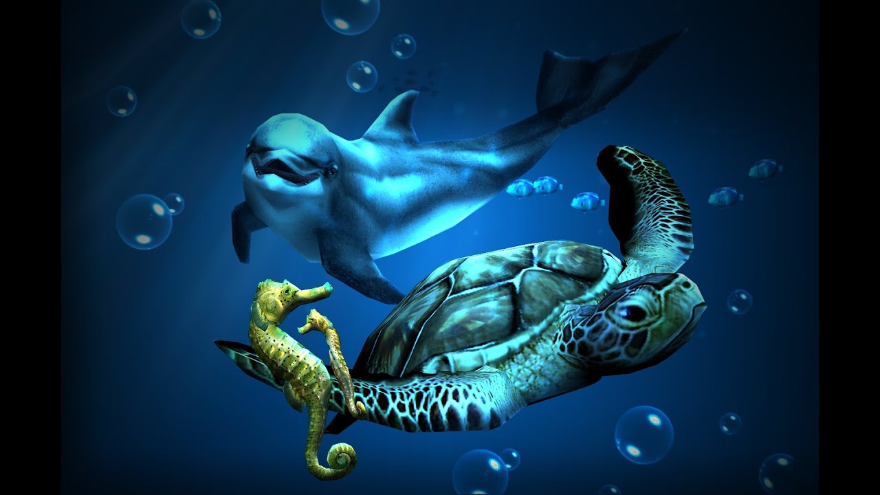 foto live wallpaper,tartaruga di mare,tartaruga verde,tartaruga,kemps ridley tartaruga di mare,tartaruga marina ridley verde oliva