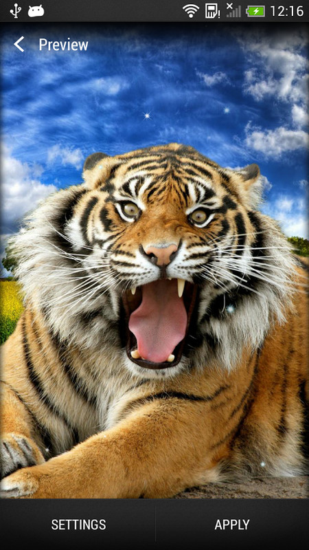 live wallpaper pic,tiger,mammal,wildlife,vertebrate,bengal tiger