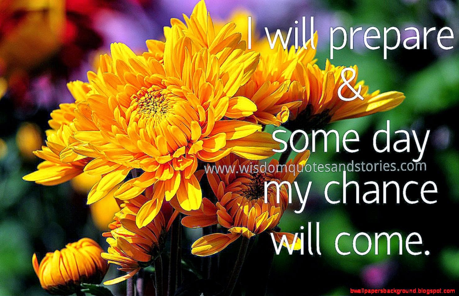 flowers wallpapers with quotes,flower,plant,yellow,flowering plant,petal