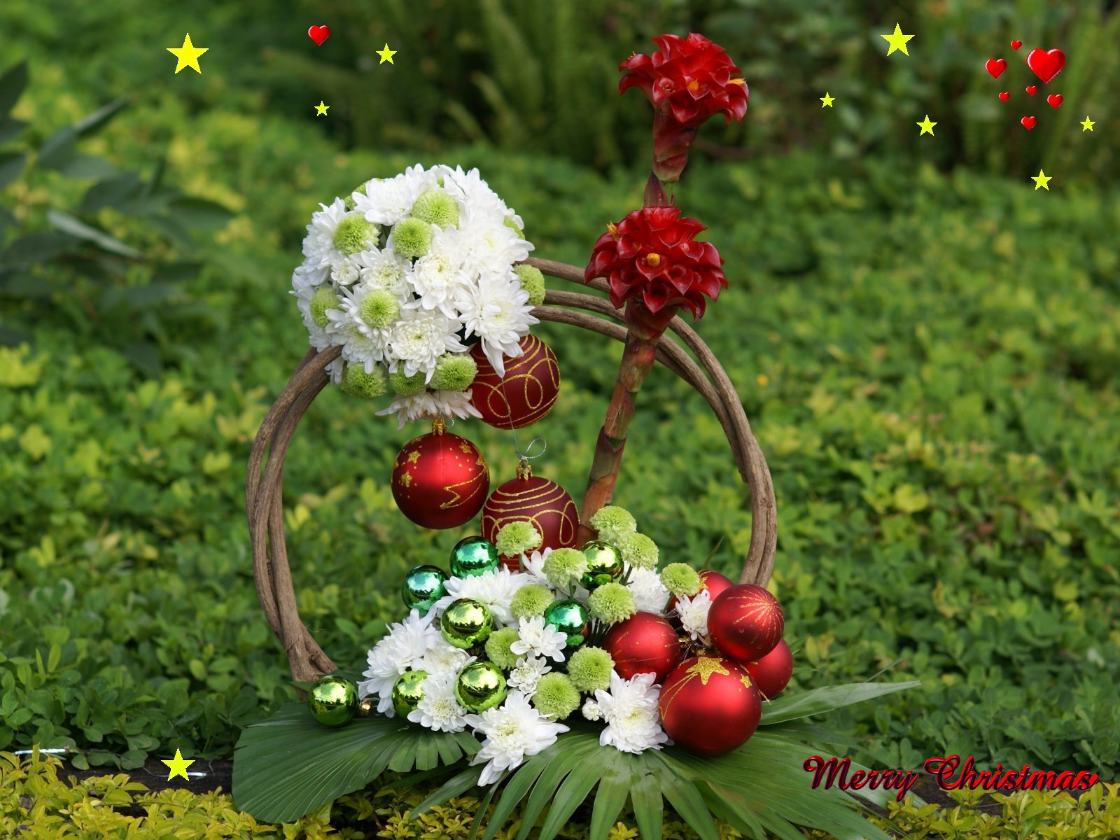 blumen tapeten mit zitaten,blume,pflanze,blühende pflanze,gras,sorbus