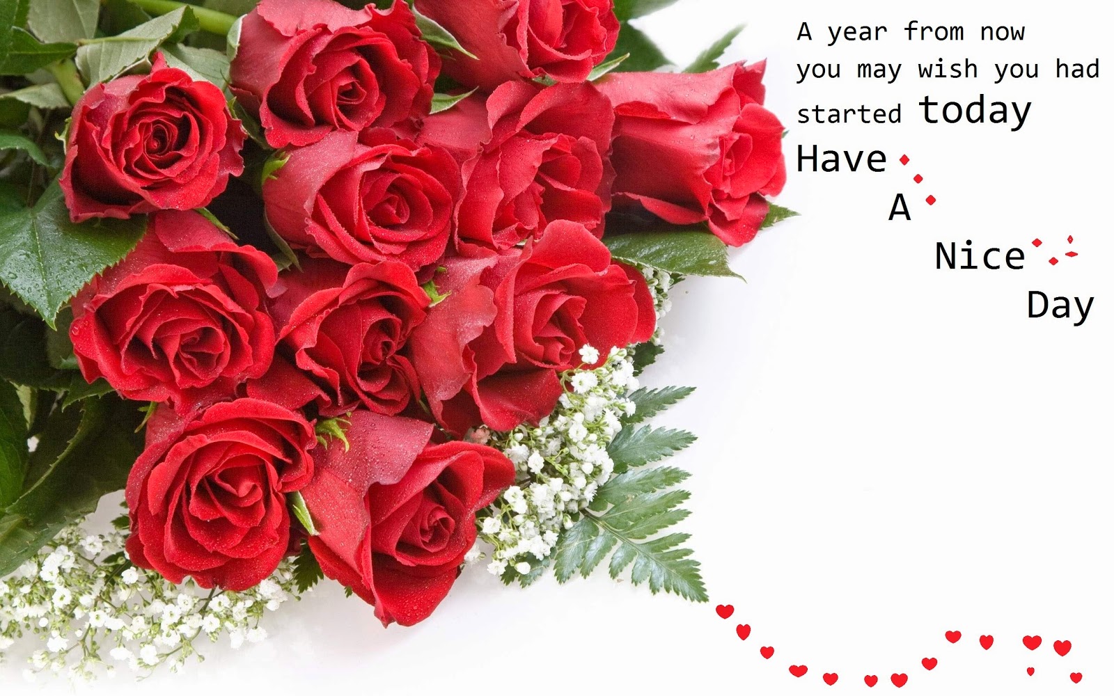 flowers wallpapers with quotes,flower,garden roses,rose,bouquet,cut flowers