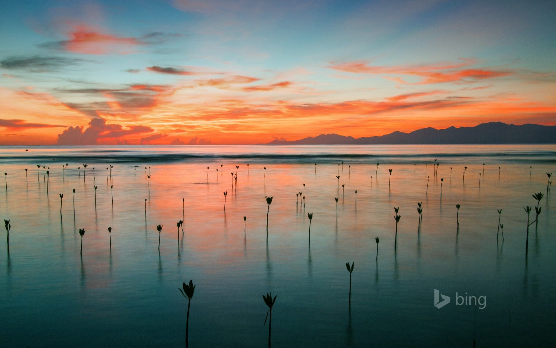 download di sfondi galleria,cielo,corpo d'acqua,natura,orizzonte,acqua