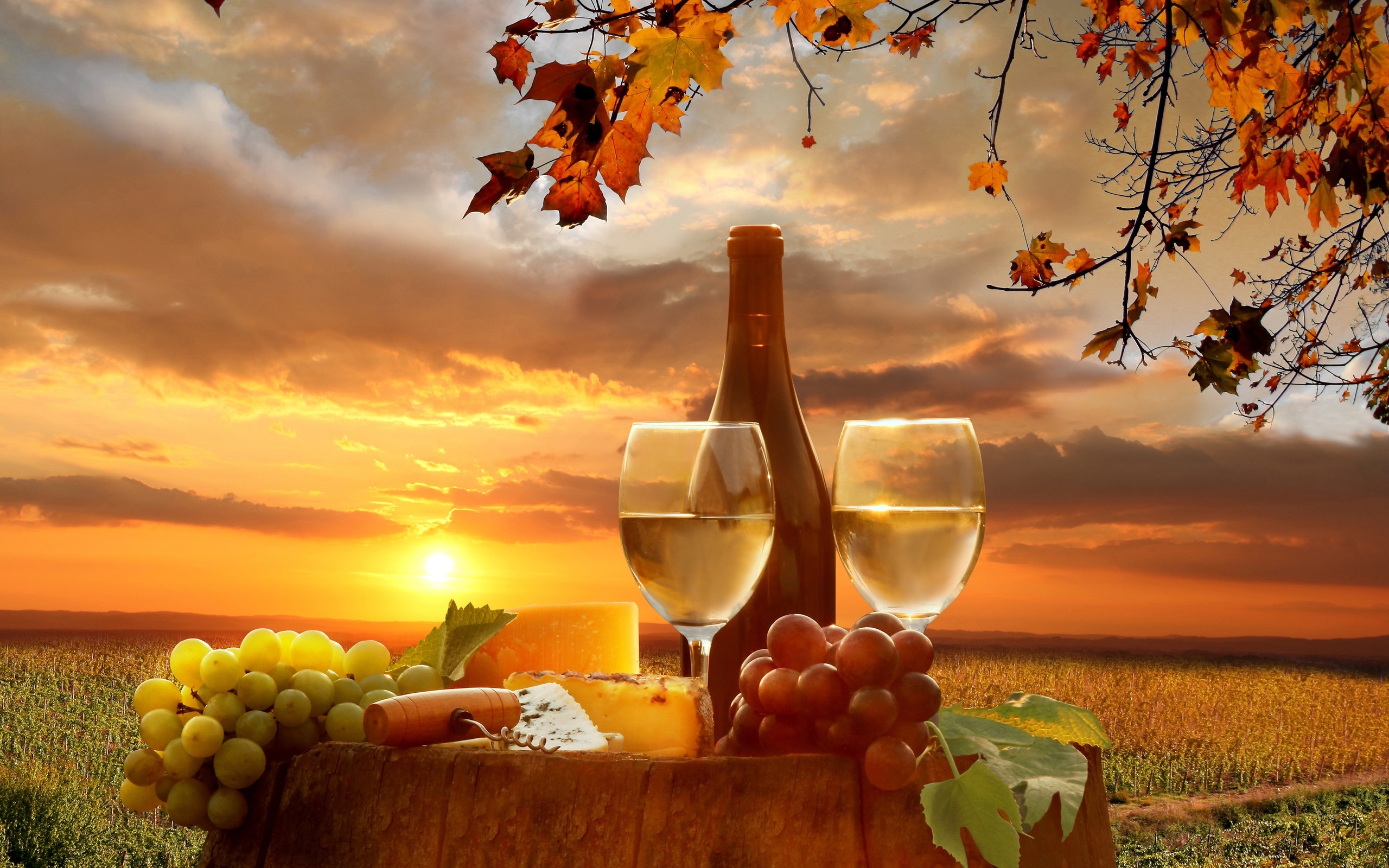Winery Wallpaper - Wineries In The Fall- WallpaperUse
