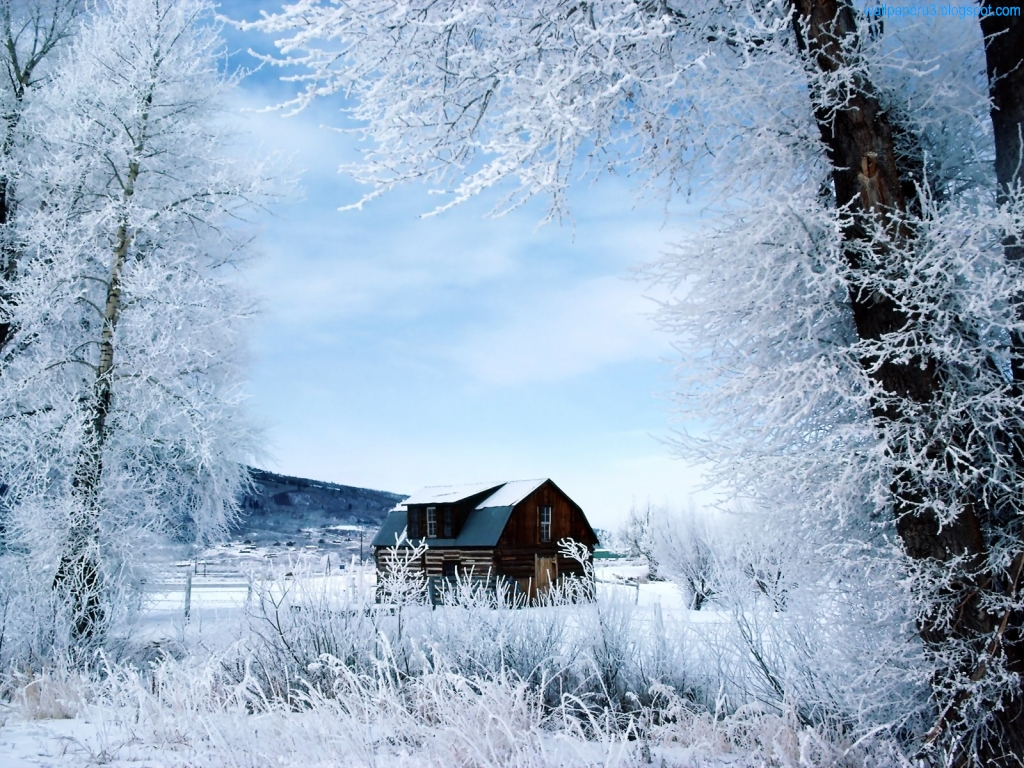 winter season wallpaper,winter,snow,frost,natural landscape,freezing
