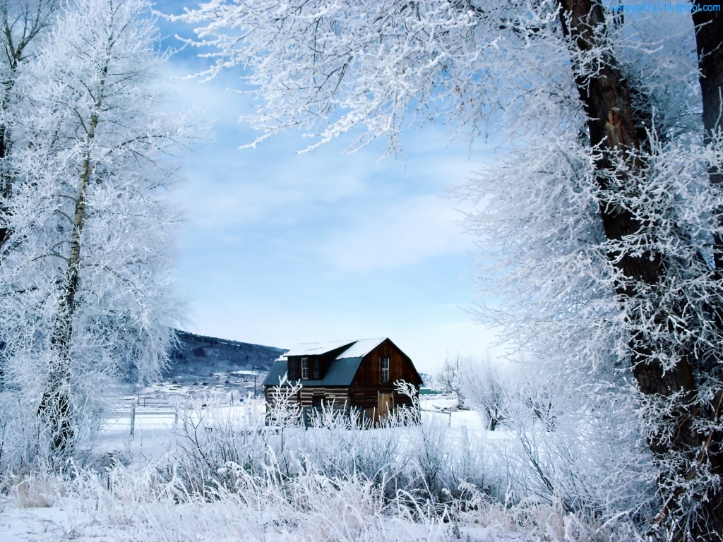 wintersaison tapete,winter,schnee,frost,natürliche landschaft,einfrieren