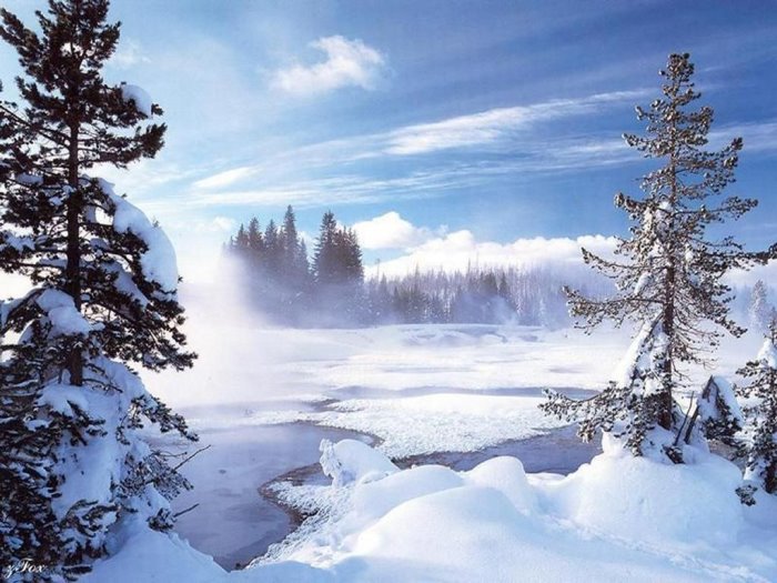 冬の季節の壁紙,雪,冬,自然,自然の風景,空