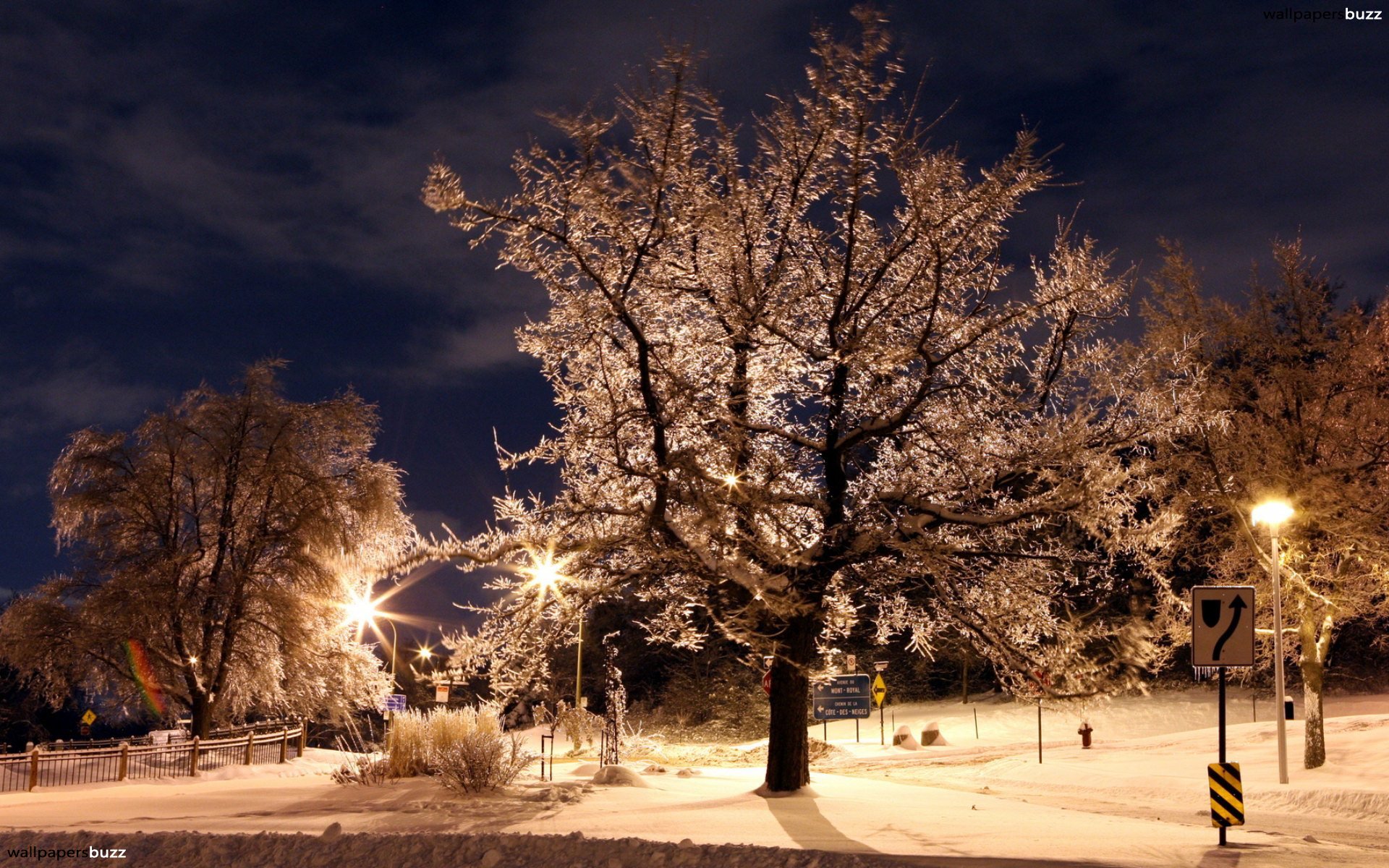 carta da parati stagione invernale,neve,inverno,albero,cielo,natura