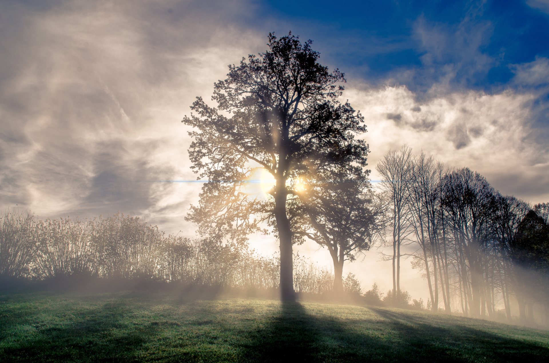 winter season wallpaper,sky,natural landscape,nature,tree,atmospheric phenomenon