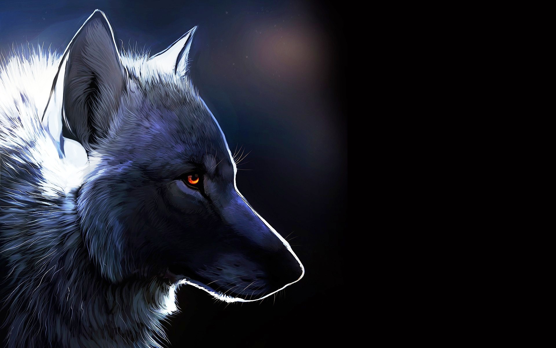 갤러리 배경 화면 다운로드,늑대,주둥이,은여우,붉은 늑대,늑대 개
