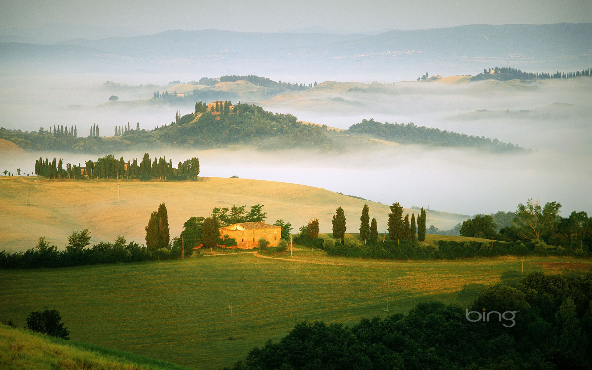 carta da parati dalla galleria,natura,paesaggio naturale,cielo,verde,mattina