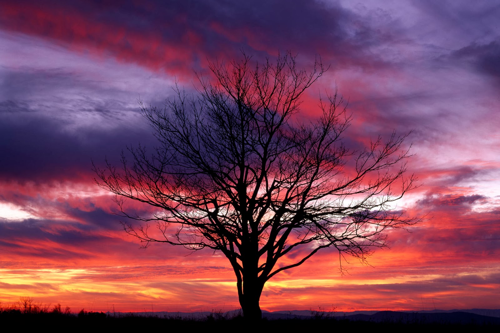 photography wallpaper backgrounds,sky,afterglow,red sky at morning,natural landscape,nature