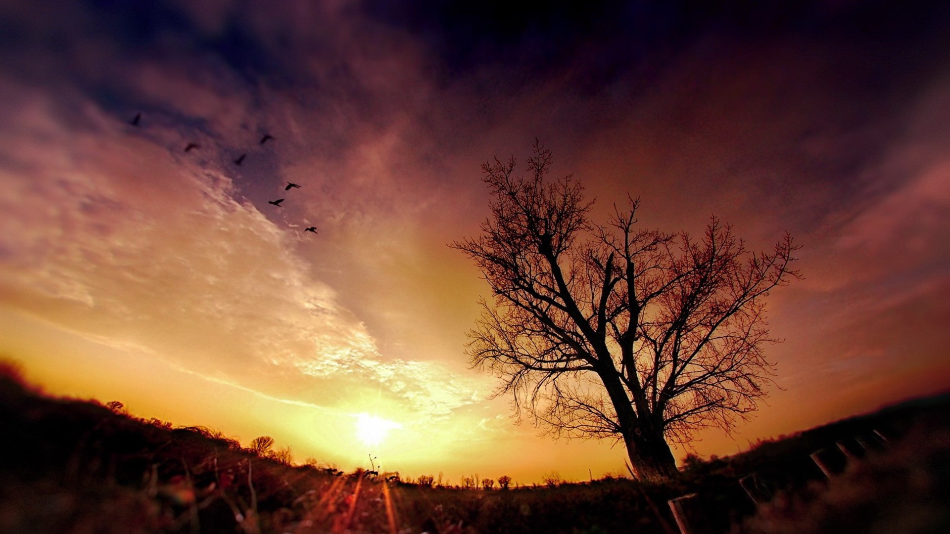 fondos de pantalla de fotografía,cielo,naturaleza,resplandor crepuscular,nube,puesta de sol