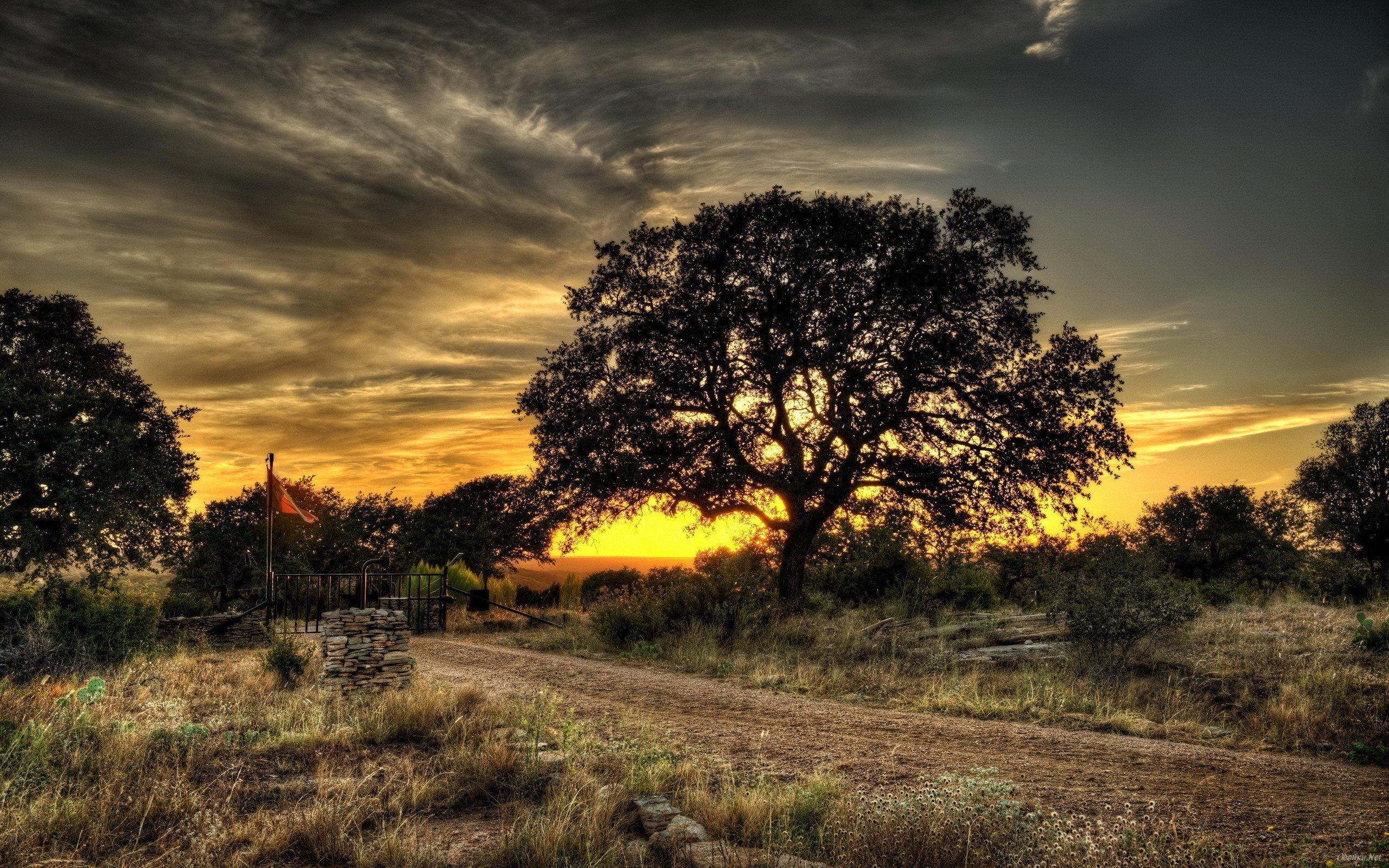 fondos de pantalla de fotografía,cielo,paisaje natural,naturaleza,árbol,nube