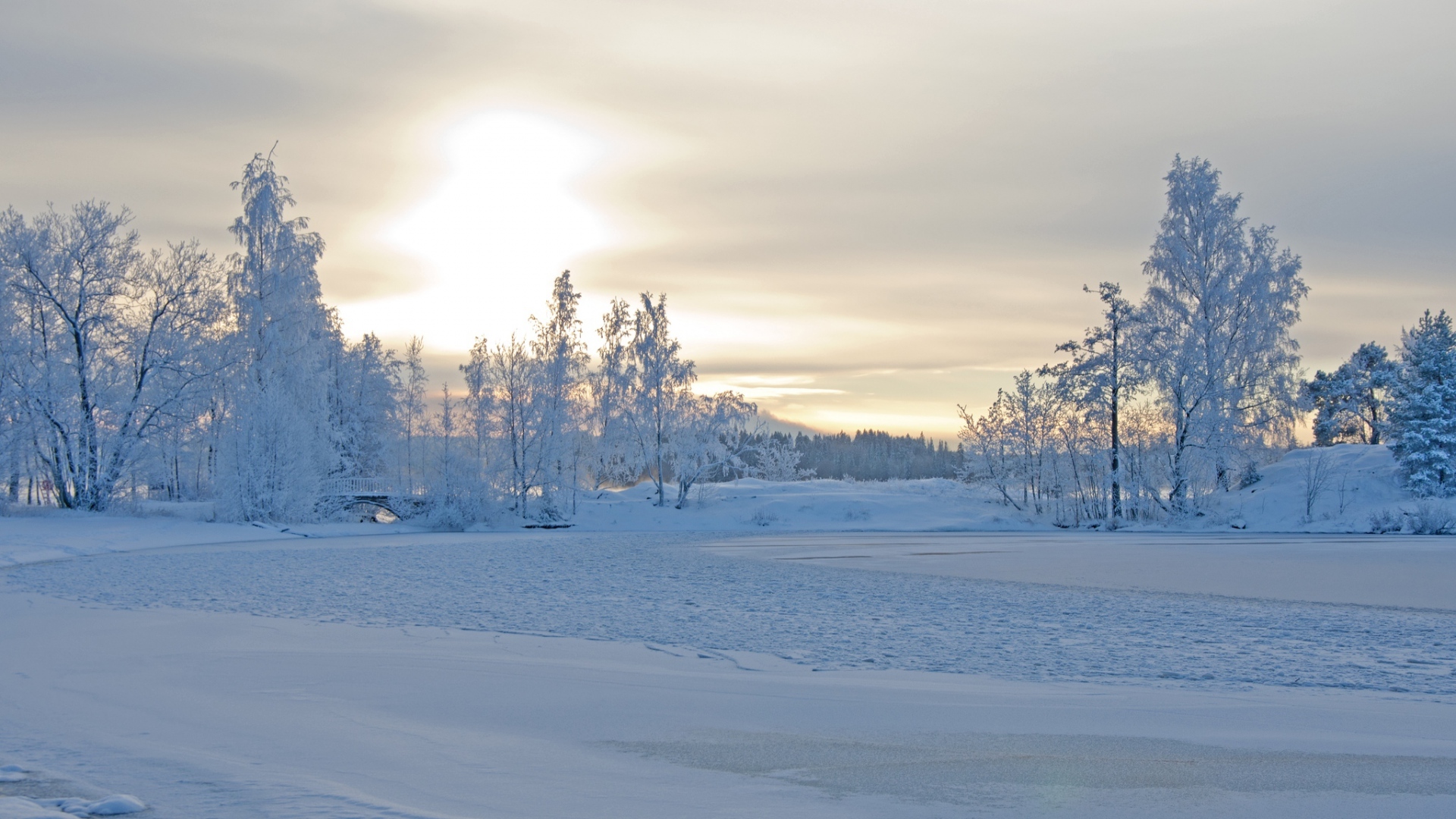 fond d'écran paysage d'hiver,neige,hiver,ciel,la nature,arbre
