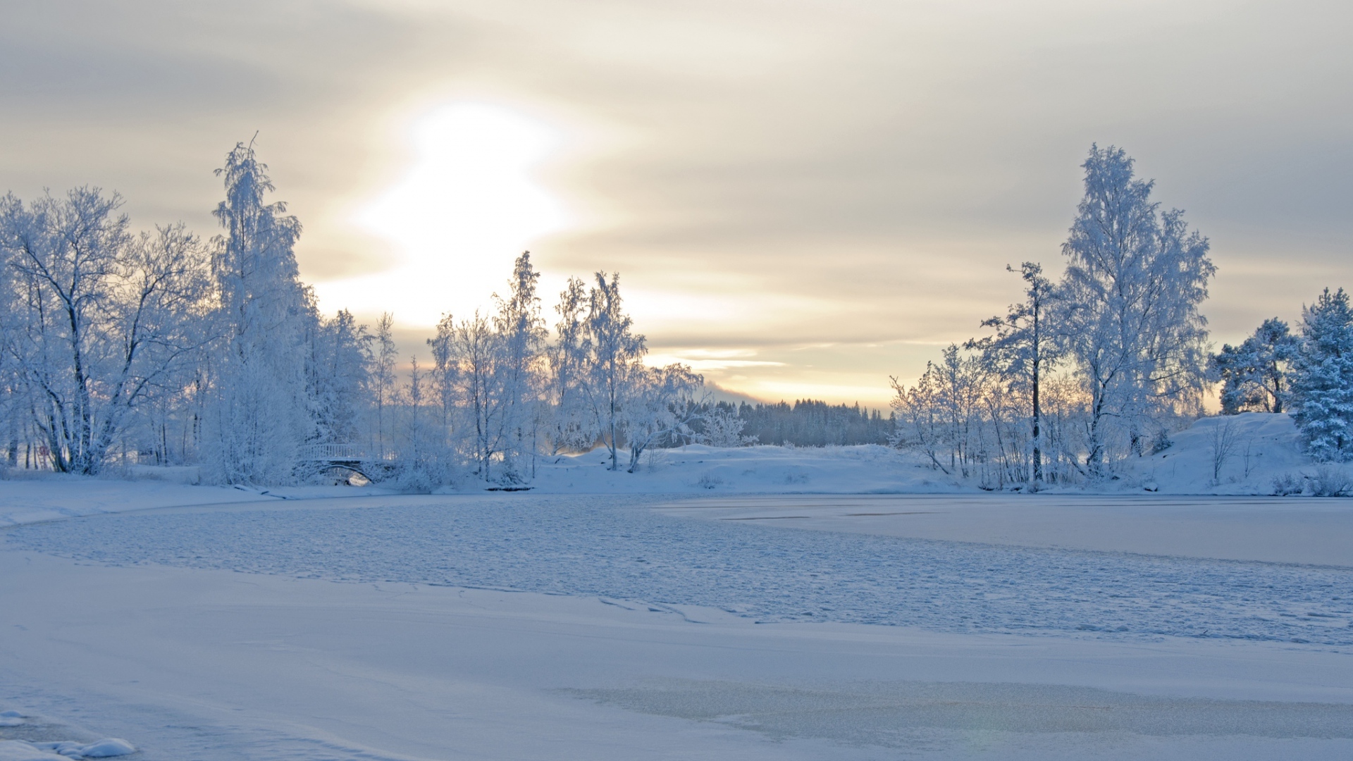 winter landscape wallpaper,snow,winter,sky,nature,tree