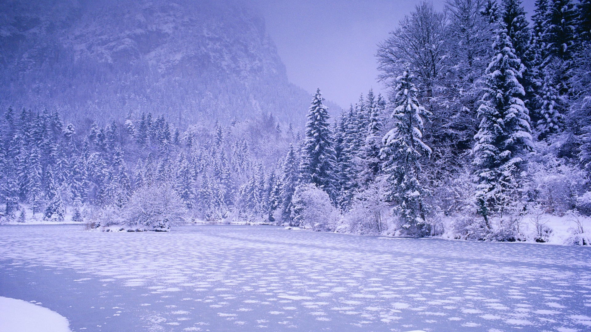 冬の風景の壁紙,雪,冬,自然,木,自然の風景