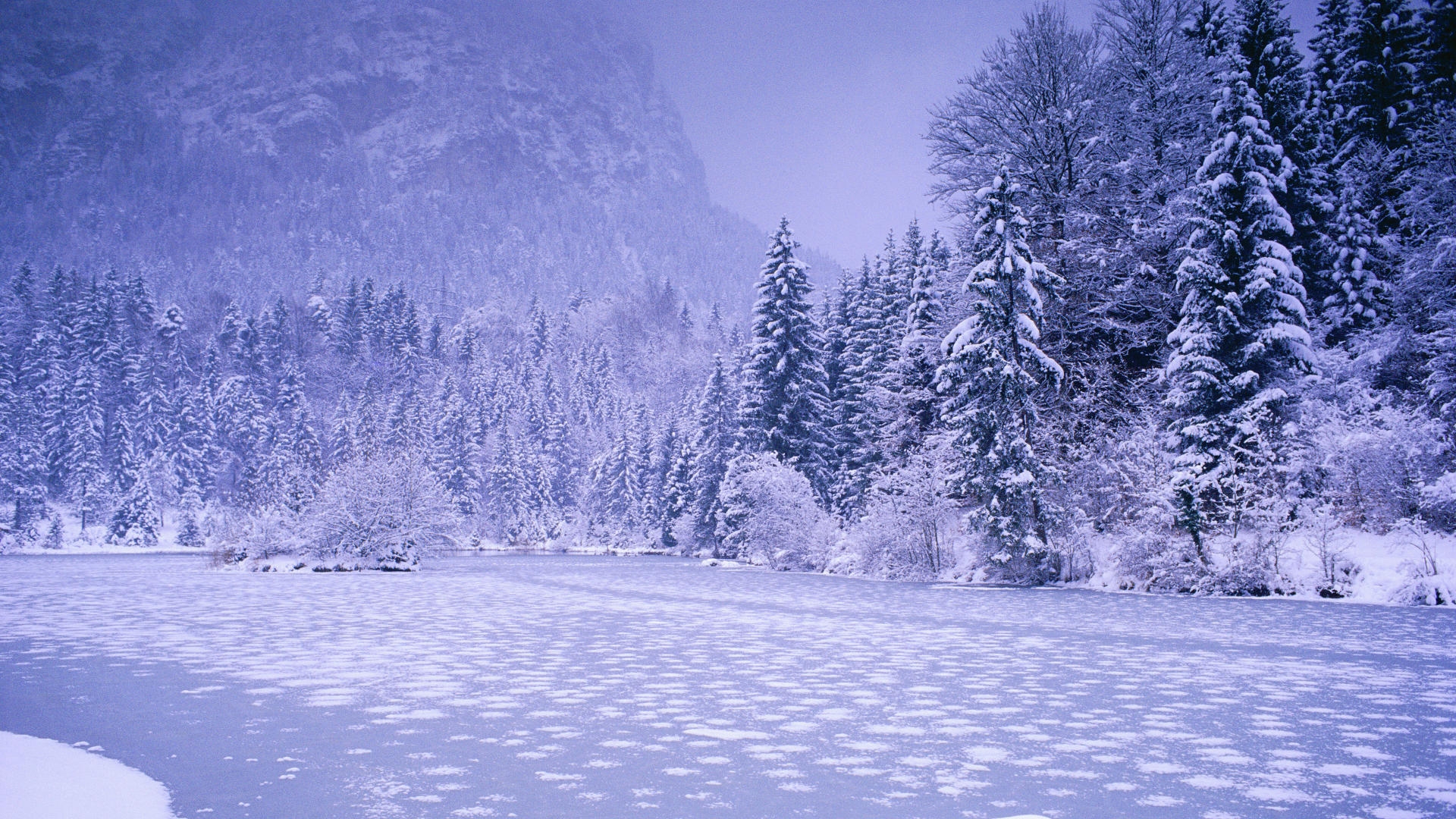 winterlandschaft tapete,schnee,winter,natur,baum,natürliche landschaft