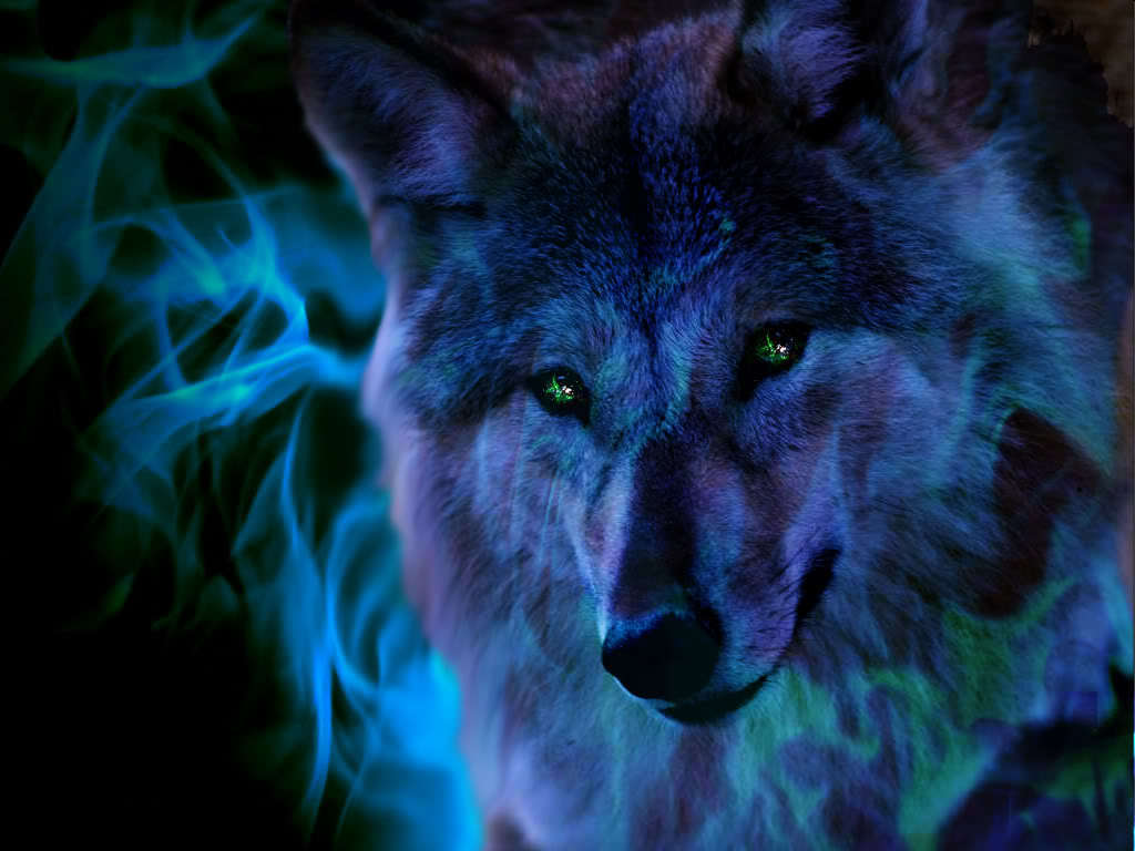 fondo de pantalla de picher,lobo,fauna silvestre,lobo rojo,hocico,personaje de ficción