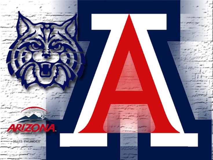 arizona wildkatzen wallpaper,flagge,schriftart,grafikdesign,design,poster